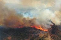 El incendio en la Parque Nacional Los Alerces afectó cerca de 400 hectáreas