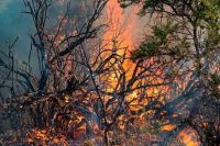 El 8 de mayo comienza la temporada de quemas en Bariloche y Dina Huapi