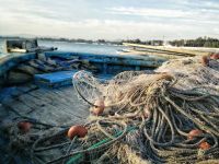 Pescaba langostinos, perdió un dedo y deberán indemnizarlo